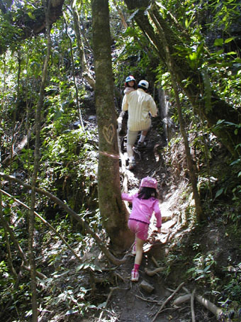 Osvaldo, Raphaela, and Kamila hiking near Coroico