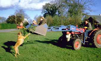 Helle, Lykke and Anny doing garden work on grandparents farm