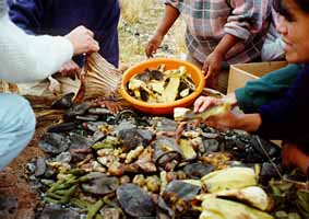 Tiahua dinner being dug up