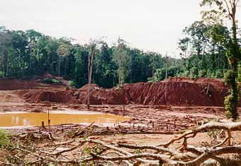 Gold mining in the Amazon